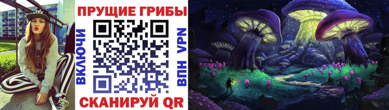 Купить где  Магас  Псилоцибиновые грибы прущие грибы 